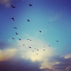 flying