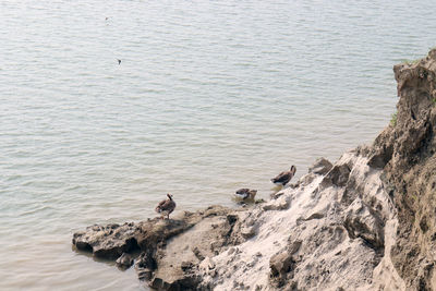 High angle view of a beach