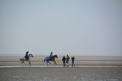 Women looking at friends riding horses on sandy beach against clear sky