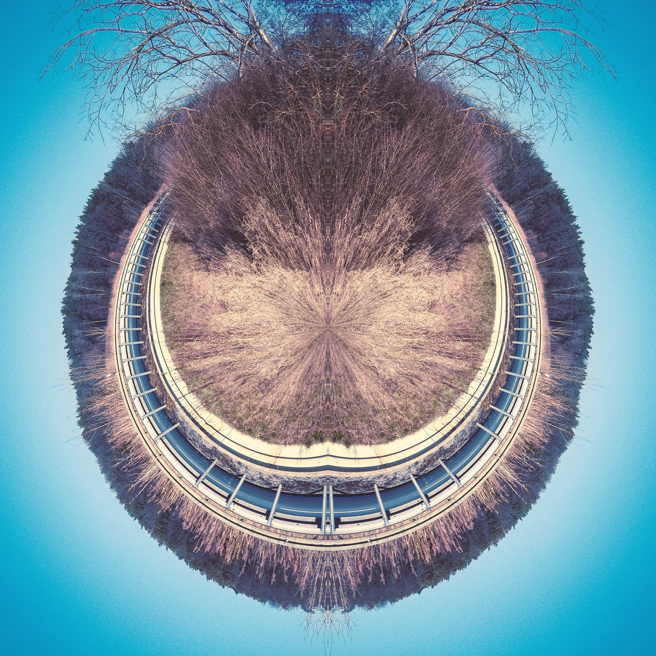 DIRECTLY BELOW SHOT OF BLUE SKY AND TREE AGAINST THE BACKGROUND