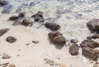 High angle view of pebbles on beach