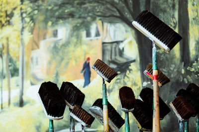 Brooms in park