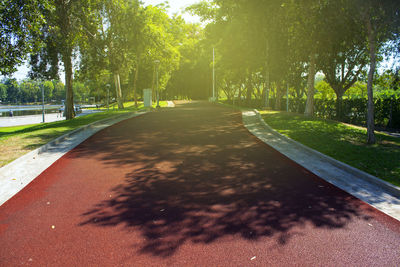 Road amidst trees in park