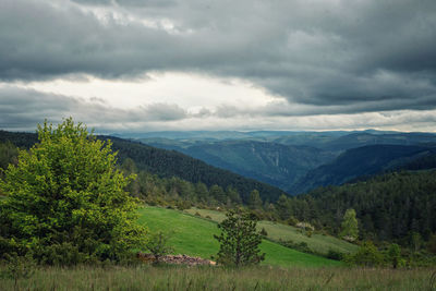 Scenic view of landscape against sky