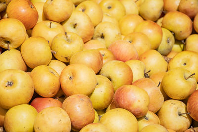 Fresh yellow apples in a farmer agricultural open air market, seasonal healthy food