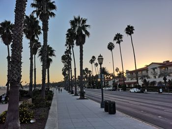 Street amidst palm trees against sky during sunset