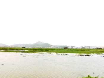 Scenic view of river against clear sky