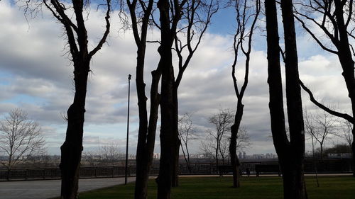 Bare trees on field against sky