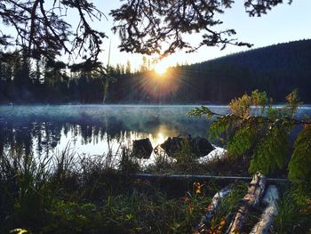 Sun shining over lake