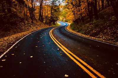 Road passing through forest