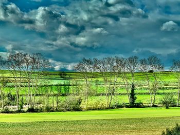 Scenic view of field against sky