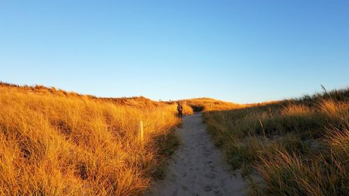 Scenic view of farm against clear sky