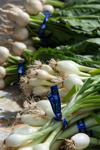 Bundle of scallions for sale at market stall