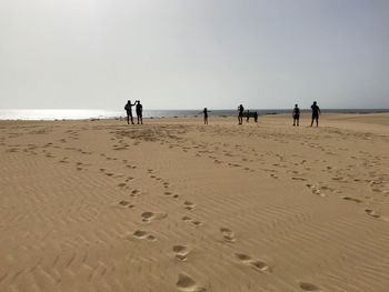 People on beach against clear sky