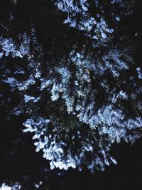 Low angle view of silhouette tree in forest against sky