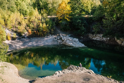 Scenic view of lake in forest