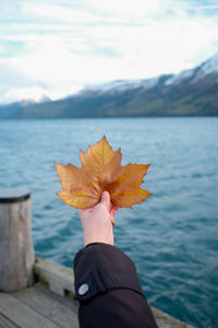 Cropped hand of woman holding maple leaf by lake