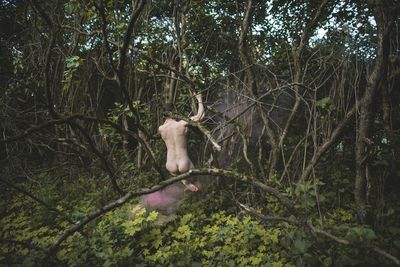 Rear view of naked man sitting on tree in forest