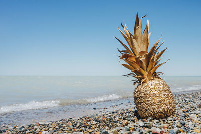 Close-up of pebbles on beach against sky