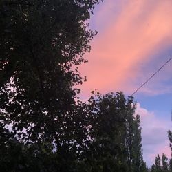 Low angle view of silhouette tree against sky