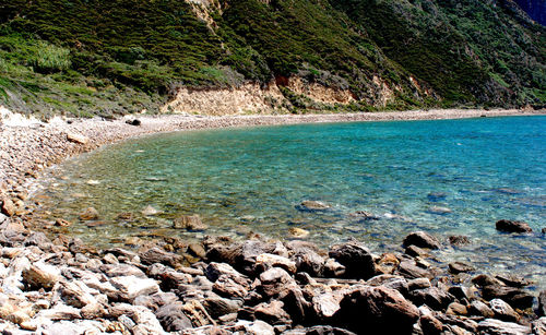 Scenic view of sea shore