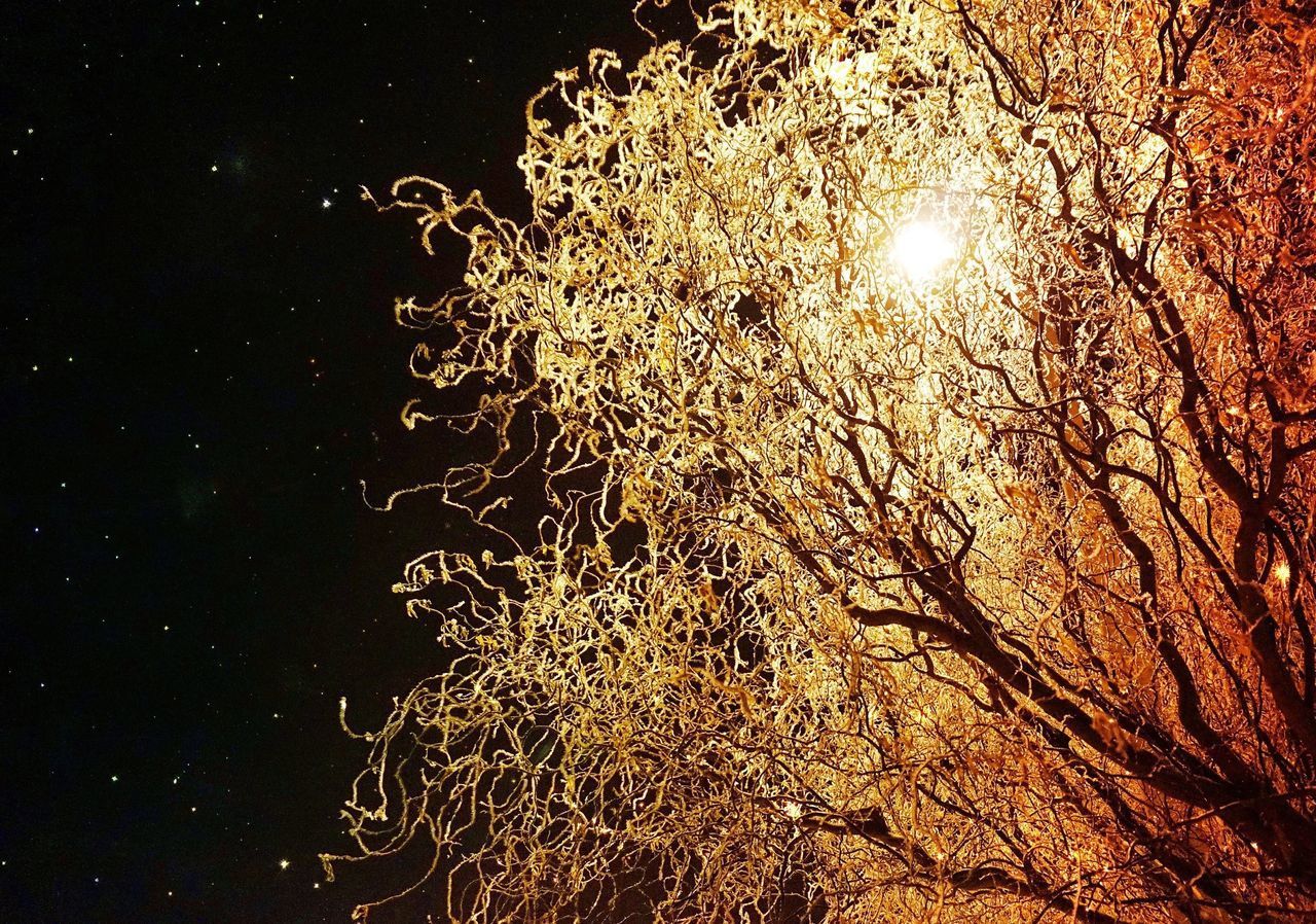 LOW ANGLE VIEW OF ILLUMINATED LIGHTS AGAINST BLACK SKY