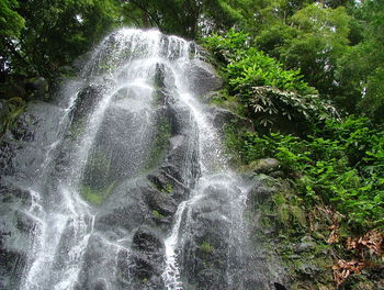 Scenic view of waterfall