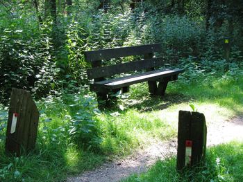 Abandoned seat on landscape