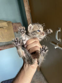 Close-up of hand holding stick