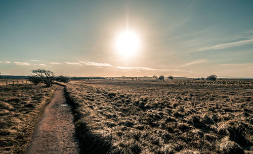 Scenic view of field against sky during sunset