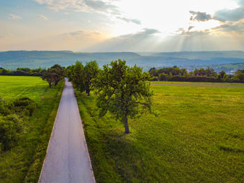 Scenic view of trees on field against sky
