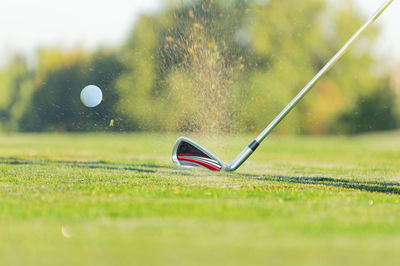 High angle view of golf ball on grass