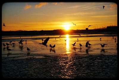 View of sunset over sea