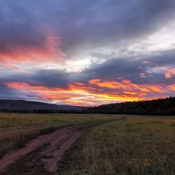 Scenic view of field against sky during sunset