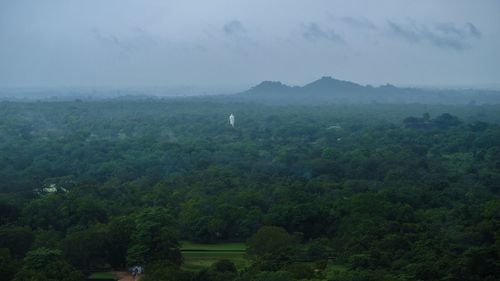 Scenic view of trees on landscape against sky