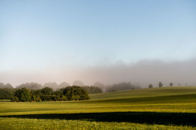 Scenic view of field against sky