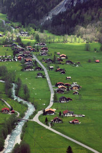 Aerial view of green landscape