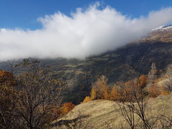 Scenic view of landscape against sky during autumn