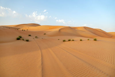 Natural landscape of the orange color sand dunes in the desert in abu dhabi