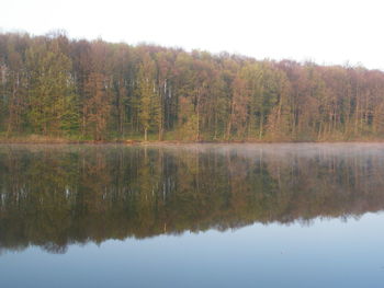 Reflection of trees in lake