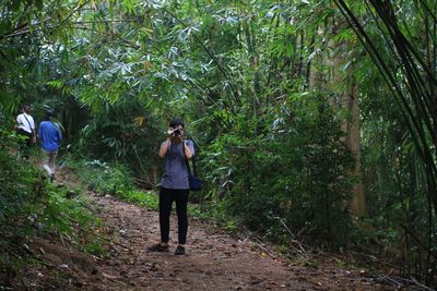 Rear view of man walking in forest