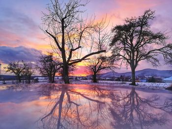 Bare tree by lake against sky during sunset