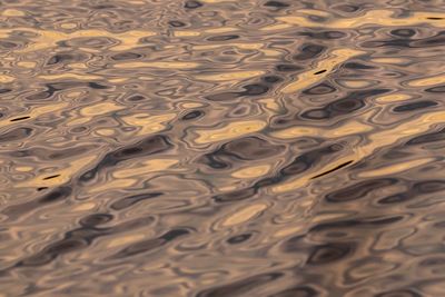 Full frame shot of rippled water