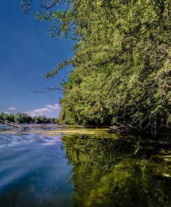 Reflection of trees in water against sky