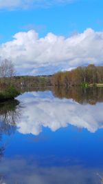 Reflection of trees in calm lake