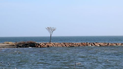 Scenic view of sea against clear sky