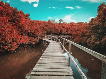 Footbridge along plants and trees against sky