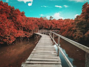 Footbridge along plants and trees against sky