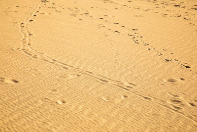 High angle view of footprints on sand at beach