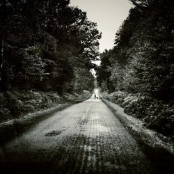 People walking on road